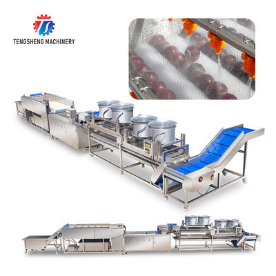Revolutionize Your Production Process with Our Fruit And Vegetable Processing Line