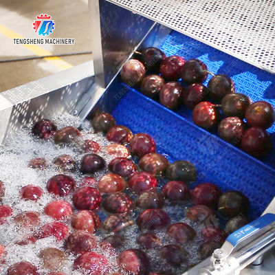 Revolutionize Your Production Process with Our Fruit And Vegetable Processing Line