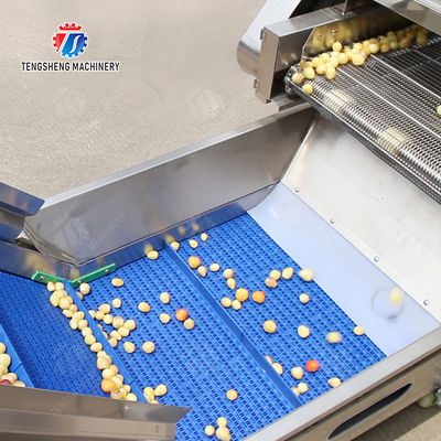 Orange Potato  Potatoes round tuber crops Carrots and longitudinal root vegetables Onions Cabbage varieties Fruiting veget Large-scale fruit and vegetable washing drying and cutting production line