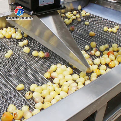 Orange Potato  Potatoes round tuber crops Carrots and longitudinal root vegetables Onions Cabbage varieties Fruiting veget Large-scale fruit and vegetable washing drying and cutting production line