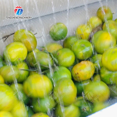 Dust Scrub Sortment Fruit Production Line Bubble Controlling Pineapple Vegetable Cleaning