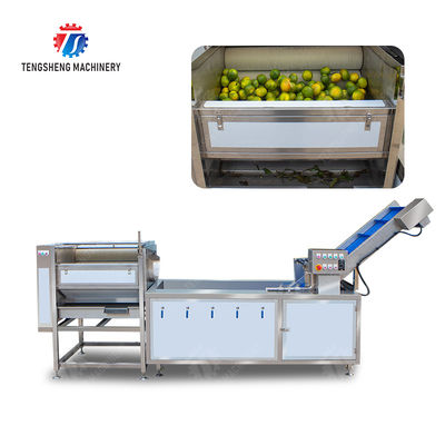 Dust Scrub Sortment Fruit Production Line Bubble Controlling Pineapple Vegetable Cleaning