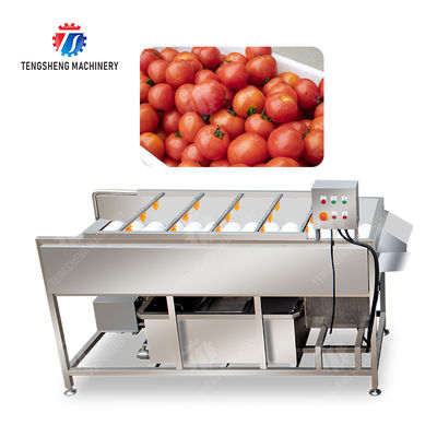 Potatoes and round tuber crops Carrots and longitudinal root vegetables Onions Ginger Carrot Taro Sweet potato Yam Potato Saiko persimmon Parallel Brush Machine Wash Washer Washing Cleaning