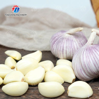 Garlic Peeling processing production Machine minced garlic processing production