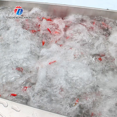 250KG Commercial fruit and vegetable brush cleaning machine air bubble cleaning machine multi-functional washing