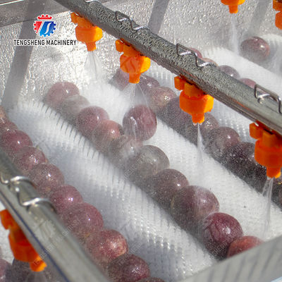 Revolutionize Your Production Process with Our Fruit And Vegetable Processing Line