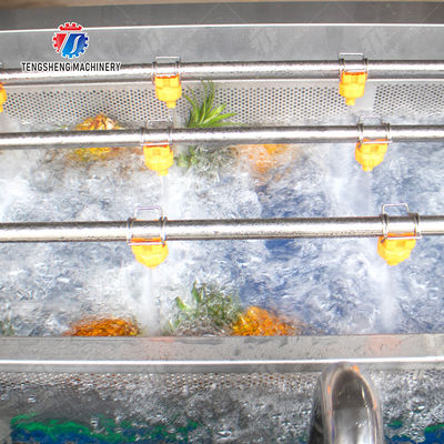 vegetable wash line pineapple juice processing line Pineapple bubble washing and vibrating air-drying line fruit processing machinery pineapple processing line