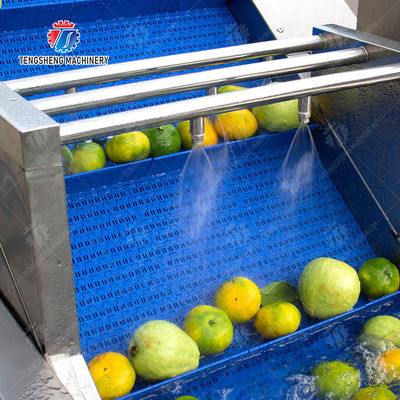 Tengsheng High Voltage Spraying Fruit And Vegetable Processing Line Industrial residual degradation