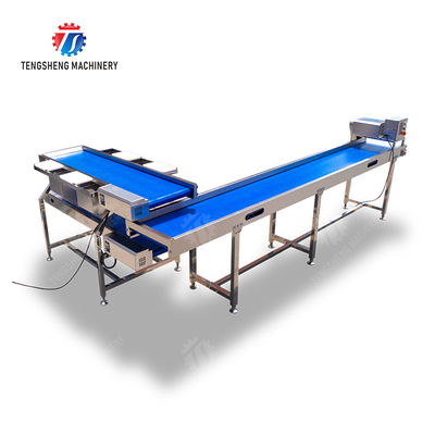 Conveyor Production Line Simplified Orange Potato  Onions Ginger Potato Carrot Taro Sweet potato Yam Saiko persimmon papaya horseshoe processing production Grading Transporting Machine