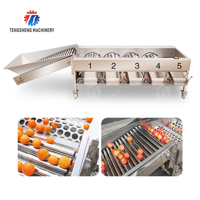 Frucht Orangen Gemüse Saiko Persimmon Zitrone Mandarine Passion Frucht Avocado Kirsche Mango Birne Mangostan Kiwi Obstverarbeitung Produktion Inspektion Einstufung Sortiermaschine