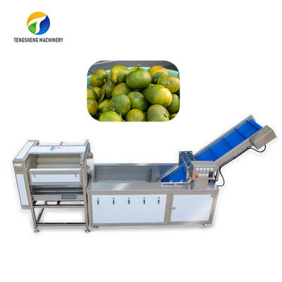 Staub scheuern Sortment-Obstbau-Fließband Blasen-Kontrolleananas-Gemüsereinigung