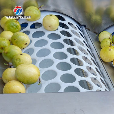 280KG Lemon screening and grading machine special stainless steel roller fruit sorting machine fruit sorting machine
