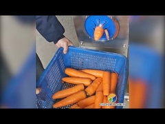 Automatic Carrot Peeling Machine 0.1kw Stainless Steel