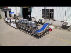 Bringen Sie Ihre Obst- und Gemüse-Verarbeitungslinie mit der TS-M100 Parallelbürstenmaschine auf die nächste Stufe